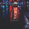 The Last Train Home