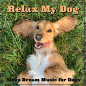 Relax My Dog: Sleep Dream Music for Dogs - Relaxmydog, Sleep Music Dreams &amp; Dog Music Cover Art