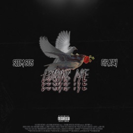 Losing Me (feat. G12 Zah) Seem Sos