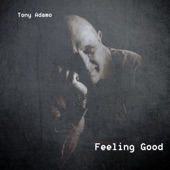 Feeling Good (Remix) artwork