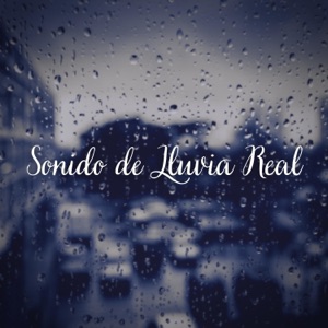 Sonido de Lluvia Real