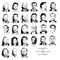 Intercepts - Pye Corner Audio & Not Waving