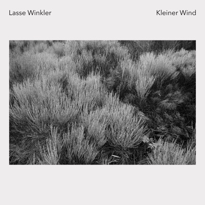 Kleiner Wind - Single
