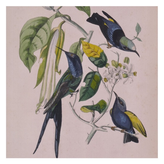 Cover artwork for Kodomotachi