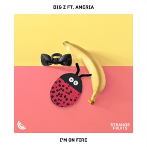 I'm On Fire (feat. Ameria) - Single
