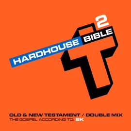Hold It (In2Orbit Mix) BK & DBM