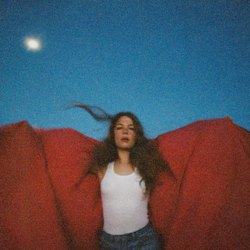 Heard It in a Past Life - Maggie Rogers Cover Art