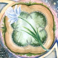 MUCH2HIGH (feat. soyybean) - Single - KAI