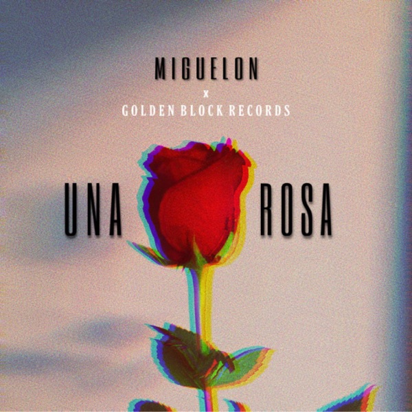 Una Rosa
