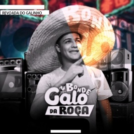 Coração Cachorro Bonde Galo Da Roça