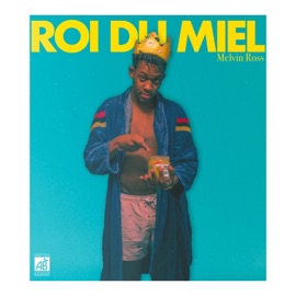 Amour (feat. CestCalvin) Melvin Ross