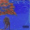 Destiny (feat. TopHillFreddo) - thelocaltrash lyrics
