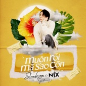 Muộn Rồi Mà Sao Còn (Nix ft. Shenlongz Remix) artwork