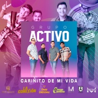 Cariñito de Mi Vida (feat. Efectivo M) - Single - Grupo Activo