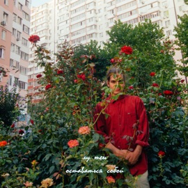 Оставаться собой лу тен