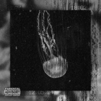 ¡Be Careful With Jellyfishes! - Single - YungChalk