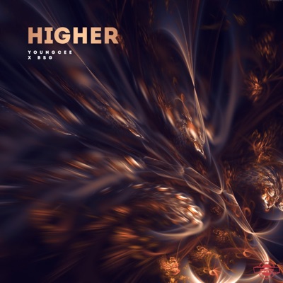 Higher (feat. YoungCee & BSG) - Single