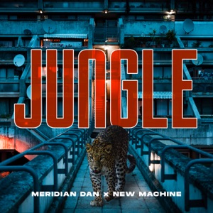 Jungle - Single