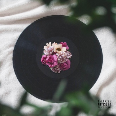 A V I D I T Y II: The Passion Continues