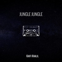 Jungle Jungle - Single - Kaifi Khalil