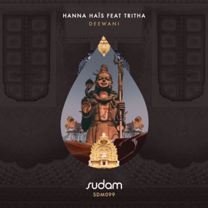 Deewani (feat. Tritha) - Single