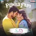 Pranayam