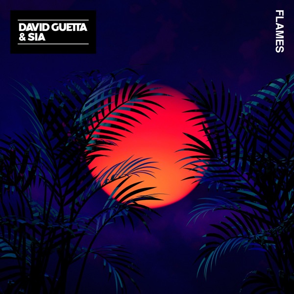 David Guetta feat. Sia Flames