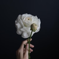 Aking Pahinga (feat. poisonhxrzy) - Single - Muffin