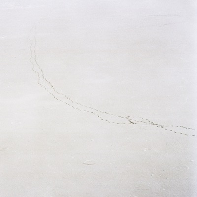 Starlight - Single