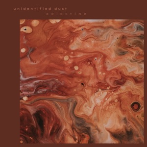 Unidentified Dust