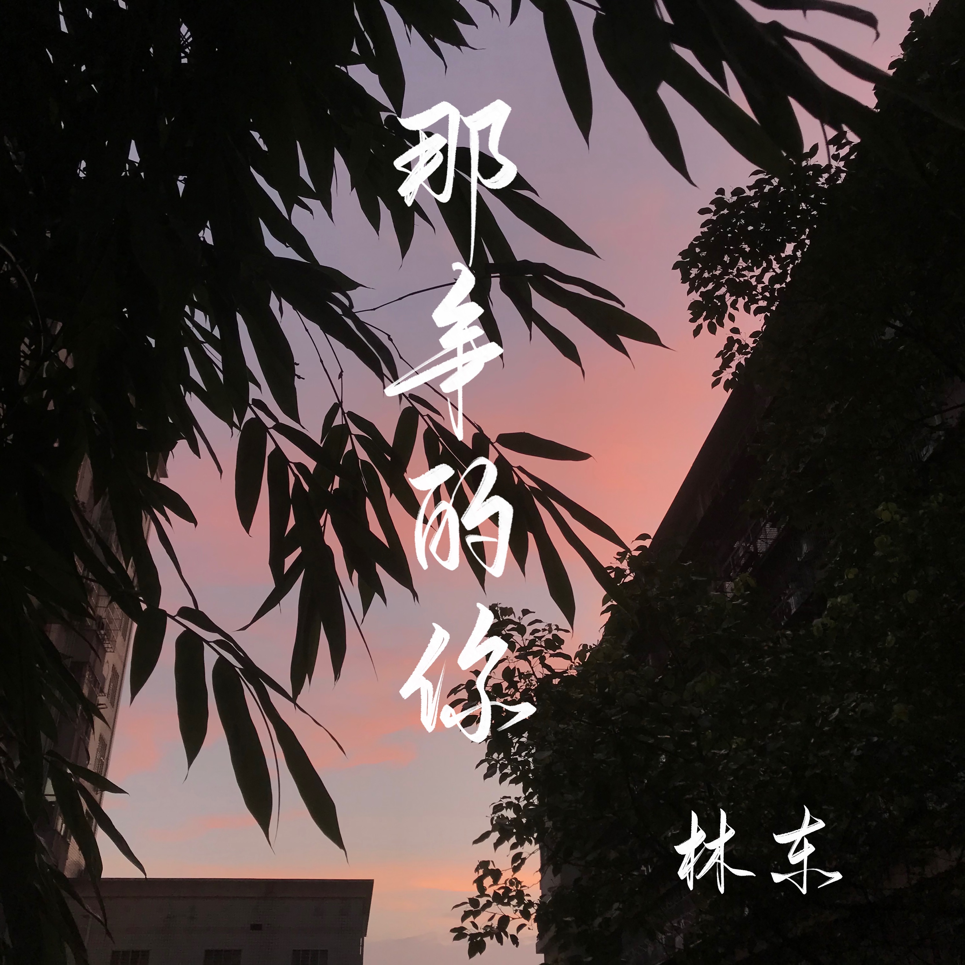 那年的你 - Single