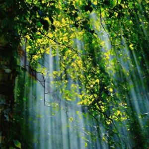 The Force of Nature