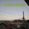 Mulher - Caminhos diferentes