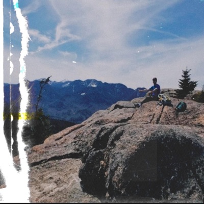 Birds Sing in Summer