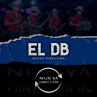 El DB - Single - Nueva Direccion