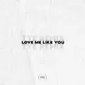 Love Me Like You (TYE Remix)