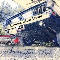Cruise Slow Down (feat. Sam Joe) - Single - Luc