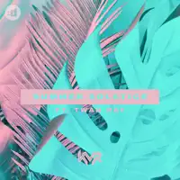 Summer Solstice — KVR, Twan Ray