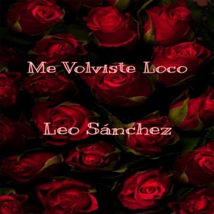 Me Volviste Loco