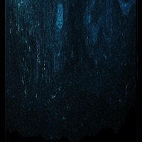 Blueberry - Single - Direct & Exist Strategy