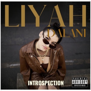 Introspection - Single