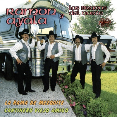 Meaning of Cuando Yo Era un Jovencito by Ramón Ayala y Sus Bravos del Norte