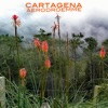 Cartagena - Single