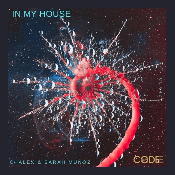 In My House - Single