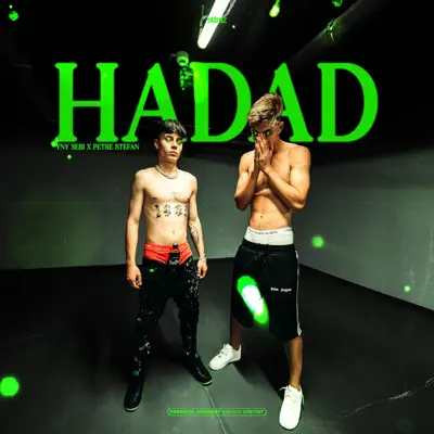 Listen to Hadad - Single by YNY Sebi & Petre Stefan