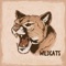 Wildcats artwork
