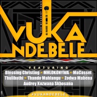 Vuka Ndebele (feat. Zodwa Mabena, Thulibathi, MaCasset, Mhlokonywa Ka Bungela, Audrey Kozwana Skhosana & Blessing Christing) - Single - Thando Mahlangu, Mhlokonywa Kabungela & MaCassete