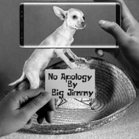 No Apologies - Single - Big Jimmy