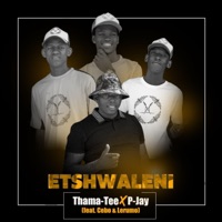 eTshwaleni (feat. Cebo & Lerumo) - Single - Thama Tee & Pjay