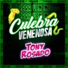 Culebra Venenosa - Single